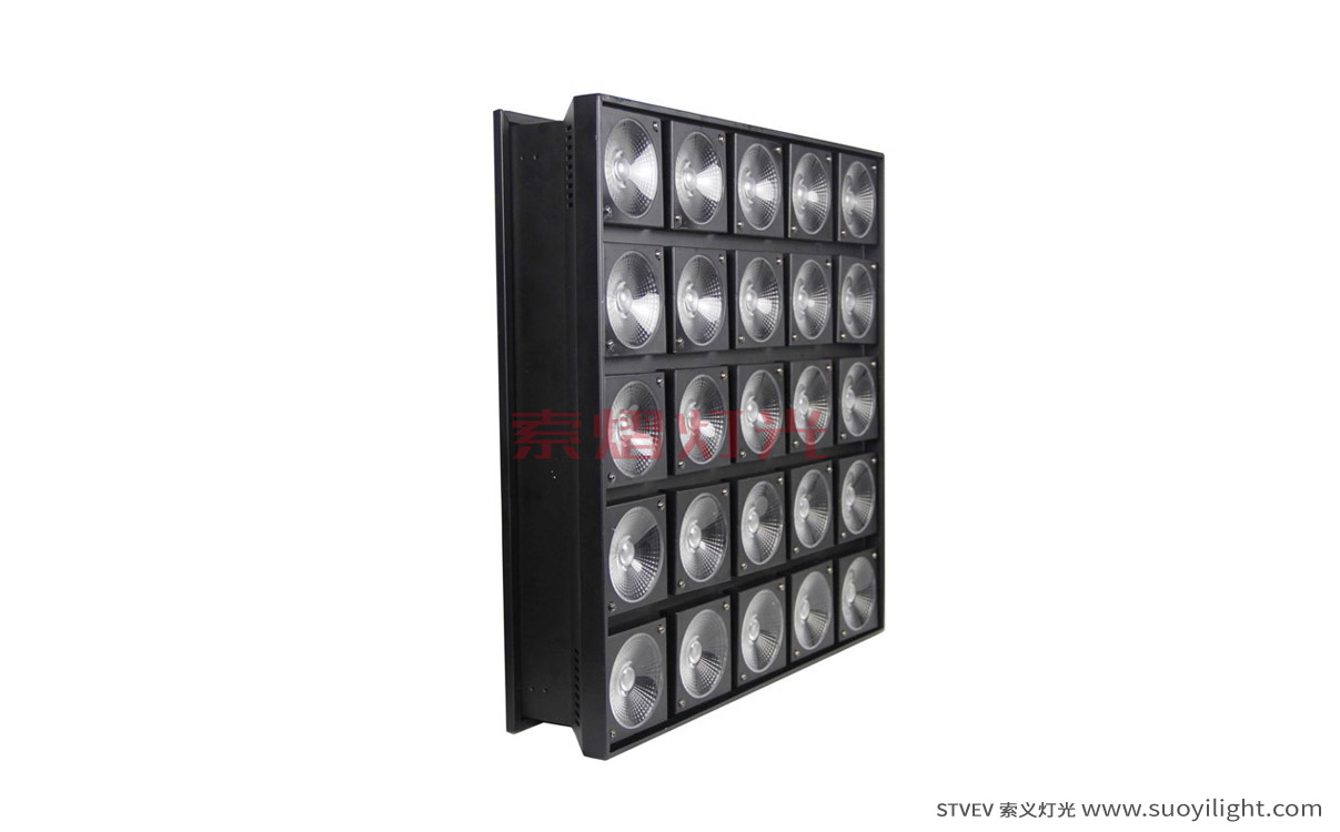 France25 Head LED Matrix Light supplier