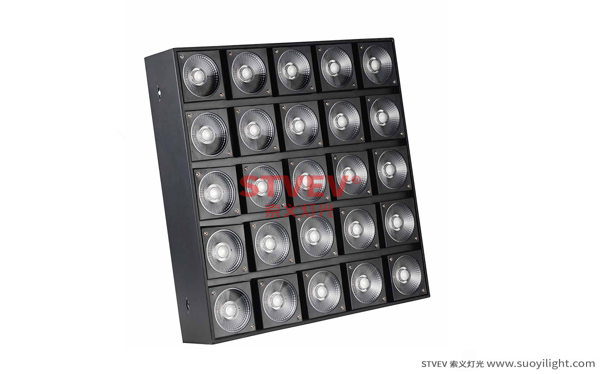 France25 Head LED Matrix Light